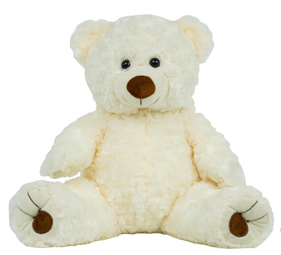 60 second recordable stuffed animal