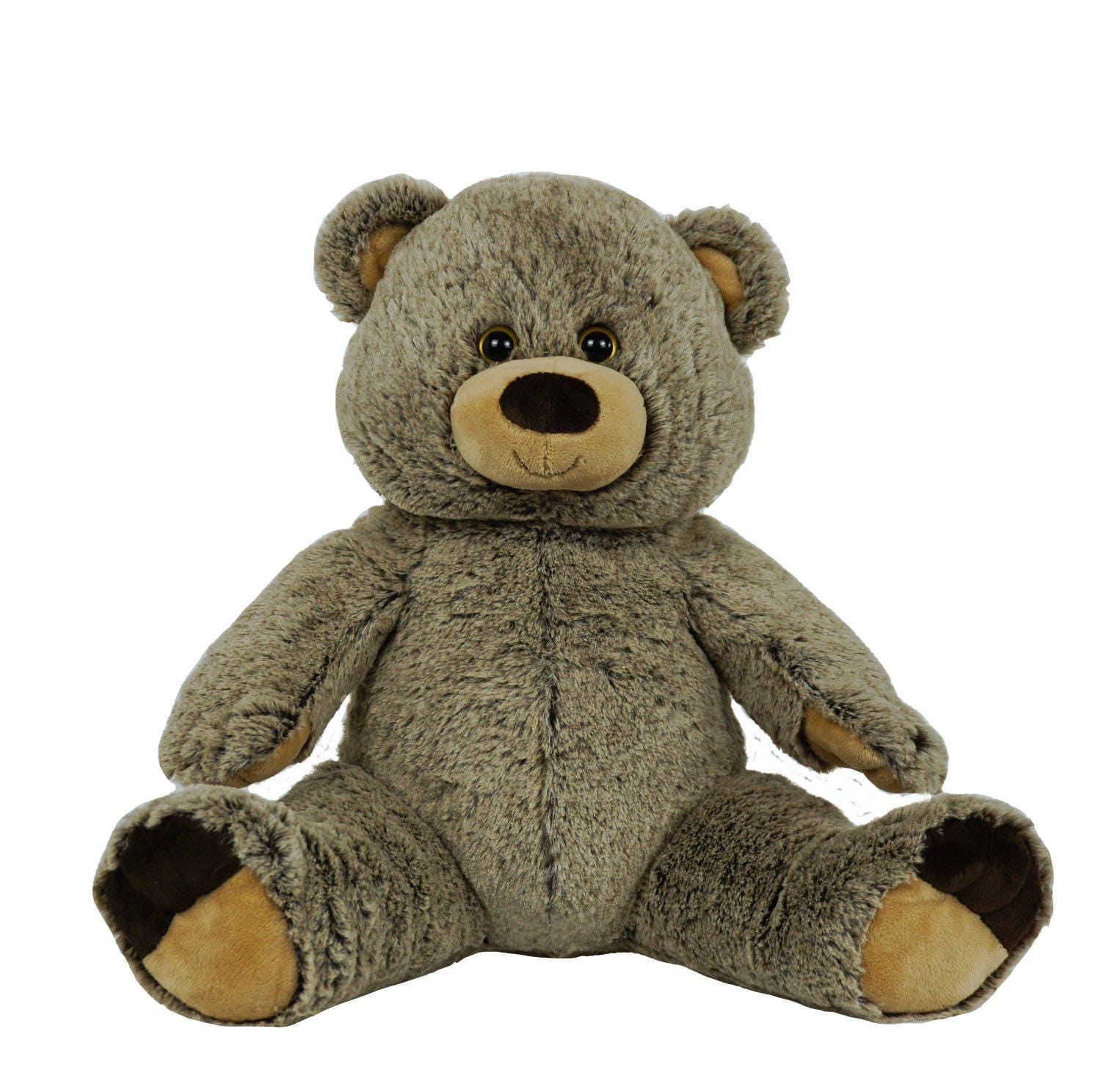 recordable teddy bear