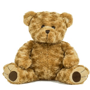 15” (over a FOOT tall) Recordable teddy bear with 1 MINUTE of recording time! super soft fabric. Message heard with every hug.