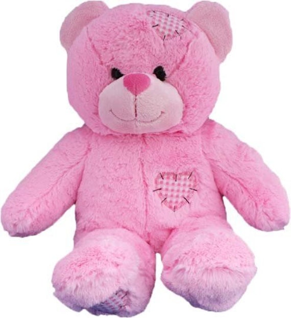 recordable teddy