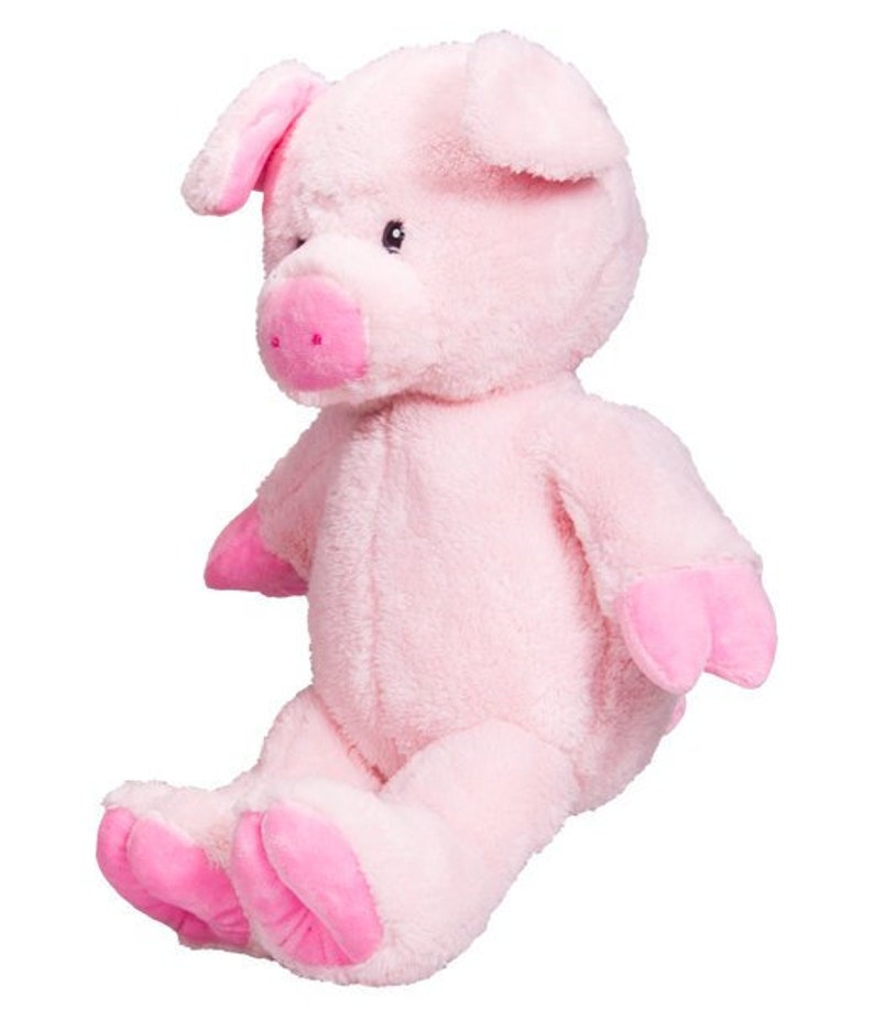 recordable stuffed animal