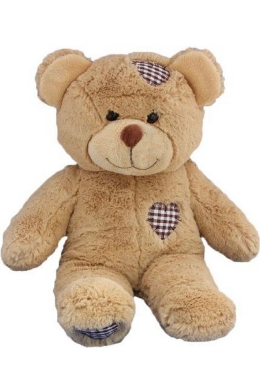 teddy bear with audio recording