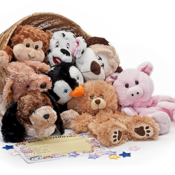 8 Inch Unstuffed Animal kits, PACK OF 10 With Animals, Stuffing and PDF file for Birth Certificate -Build Your own bear teddy bear party