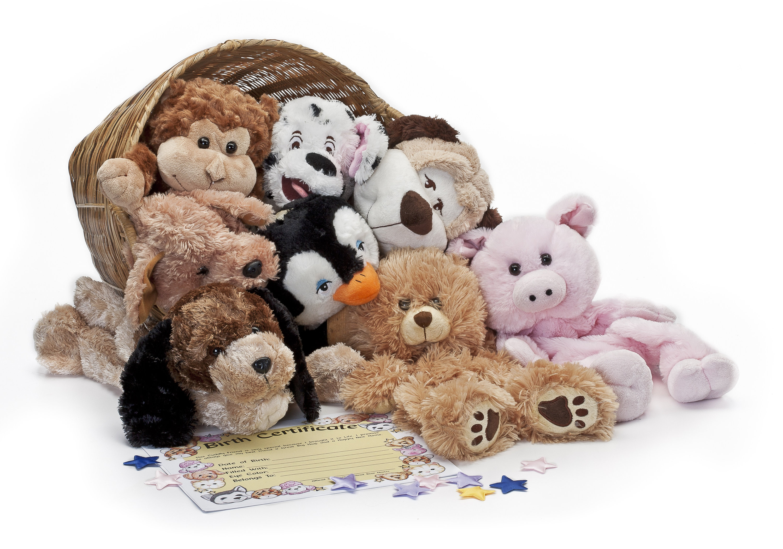Build Bear Unstuffed for sale Only 4 left at 65