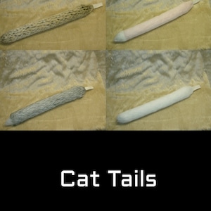 Cat Tails