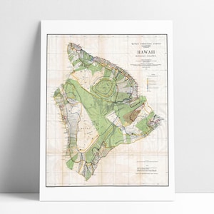 Vintage Hawaii Map Poster Print Wall Art Home Decor, Hawaii, Hawaii Art, Hawaiian Decor, Hawaii Map, Beach House Decor, Vintage Map