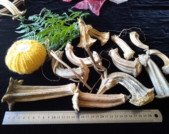 Echte gedroogde pompoenstelen voor knutselen, herfstdecor, Halloween DIY (12 stuks + gebreide pompoencadeau)