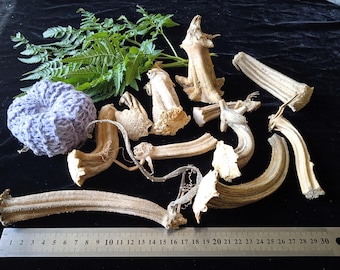 Echte gedroogde pompoenstelen voor knutselen, herfstdecor DIY, Halloweendecoraties (12st)