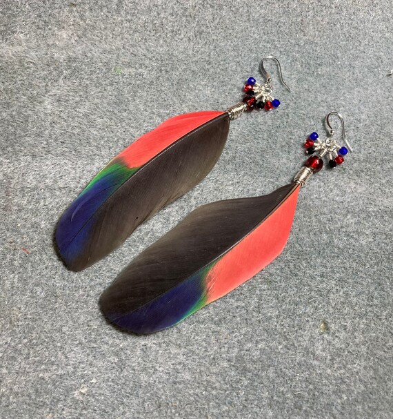 Black Red and Blue Amazon Parrot Feather Earrings Adorned With