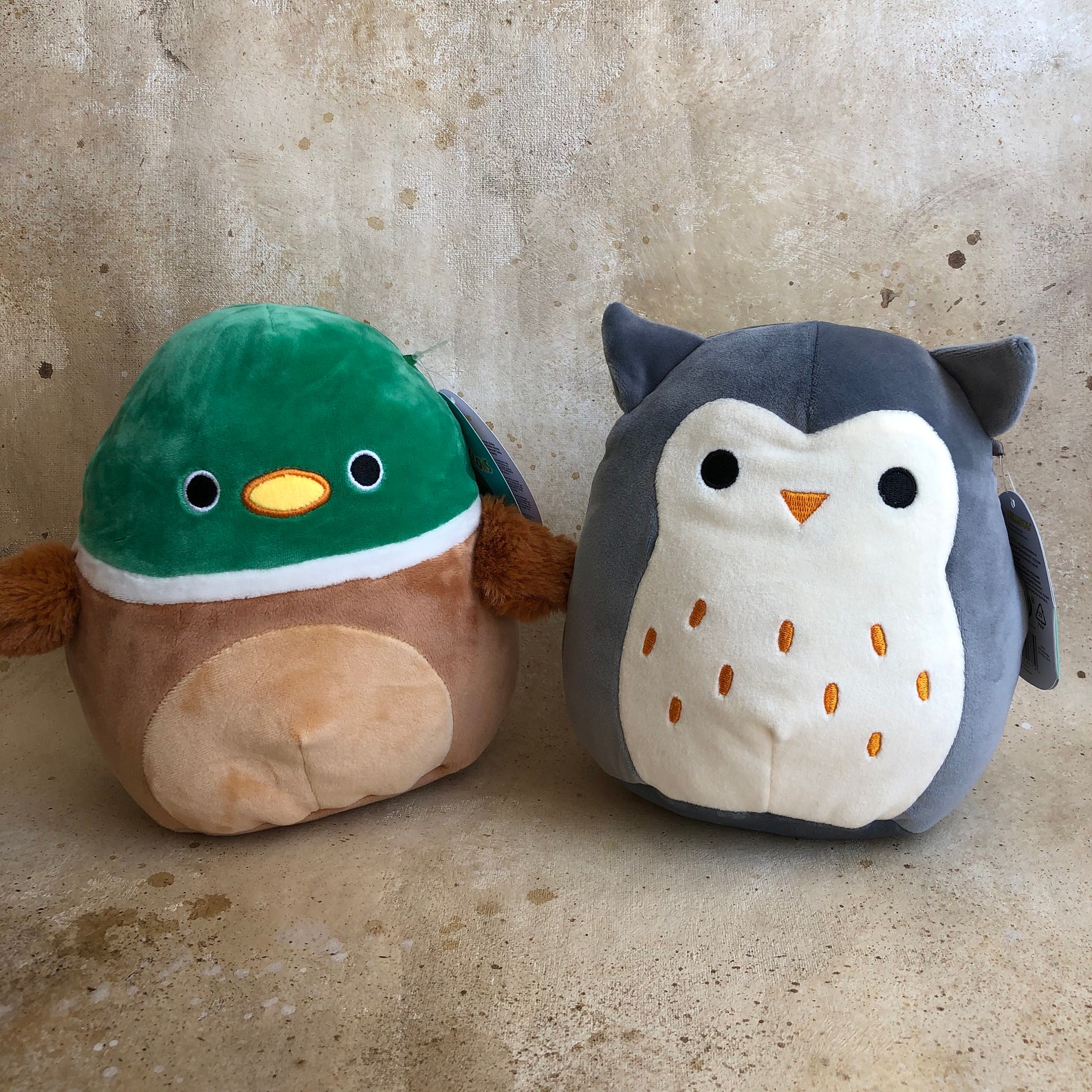Personalized squishmallow 8 inches owl Hoot duck Avery | Etsy