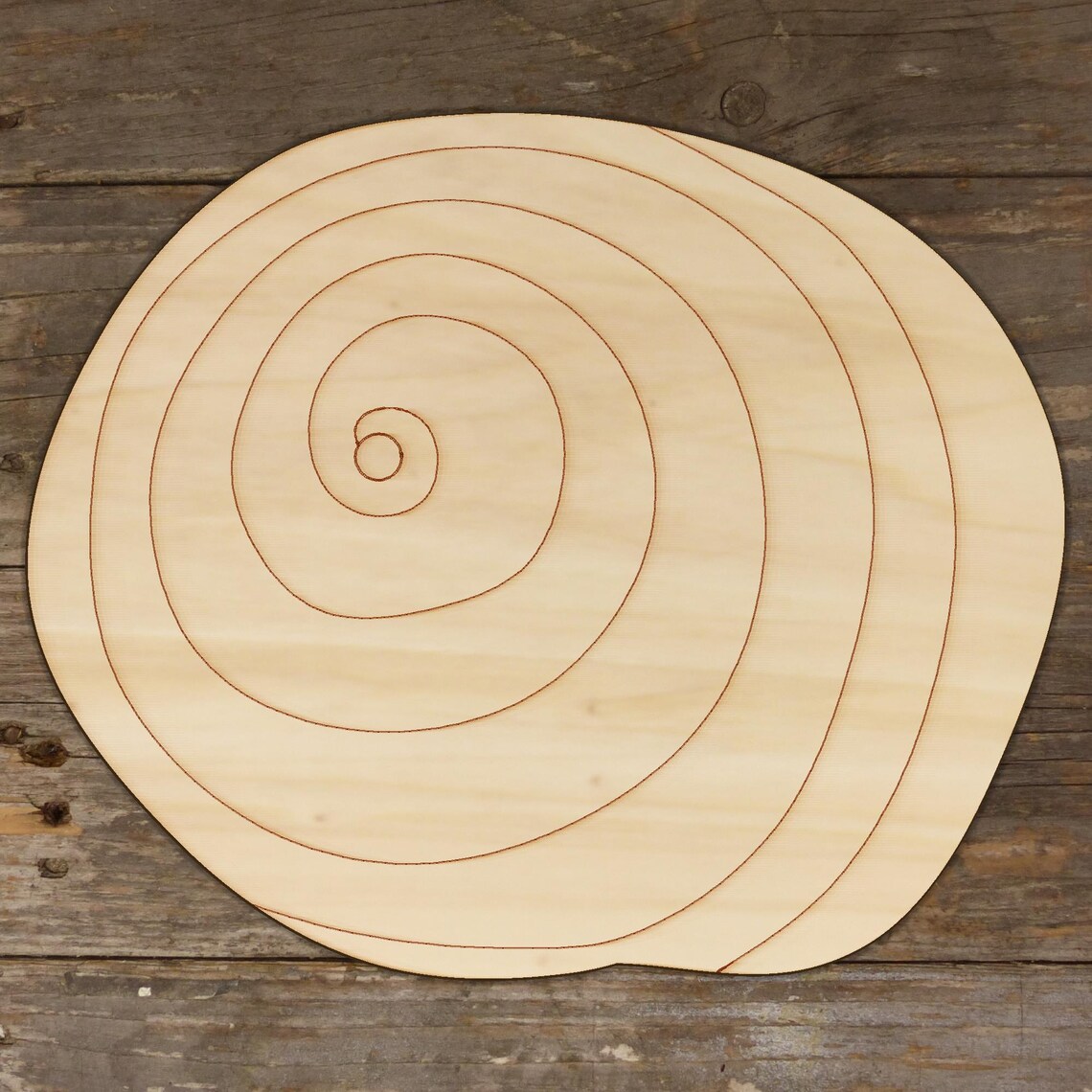 Sea Shell Wood Pattern 10x Wooden Sea Shell Sundial Craft Shapes 3mm Plywood Sealife Seaside ...
