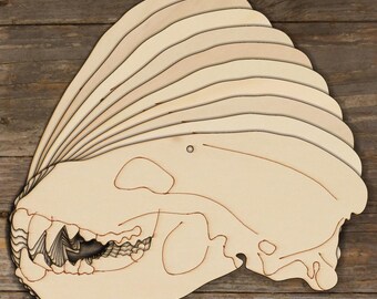 10x Wooden Badger skull side on Craft Shape 3mm Ply Wildlife Animals