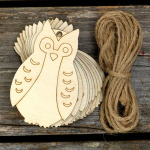 10x Wooden Owl Perching Craft Shape 3mm Plywood Comic Cute Native Bird