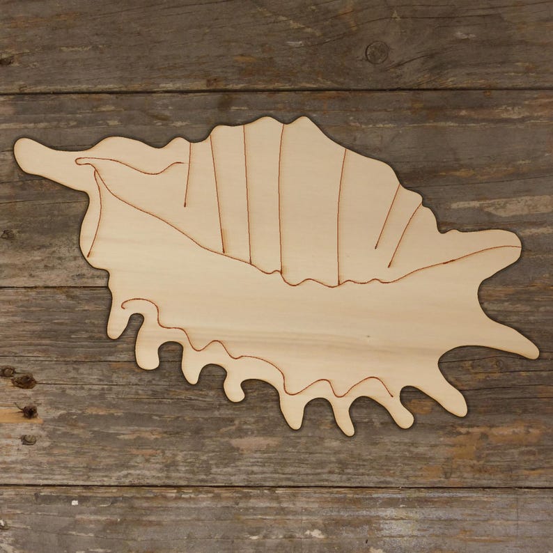 Sea Shell Wood Pattern 10x Wooden Sea Shell Murex Craft Shapes 3mm Plywood Sealife Seaside - Etsy
