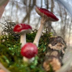 Top Collection Miniatur-Zwerg Für Feengarten & Terrarium – Sitzend Auf Pilz Mit Spielhorn (ca. 8,4 Cm)