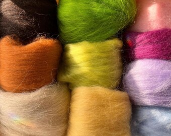 Woodland Palette. Curated Needle Felting Wool Bundle (160g Studio Fibre Release)