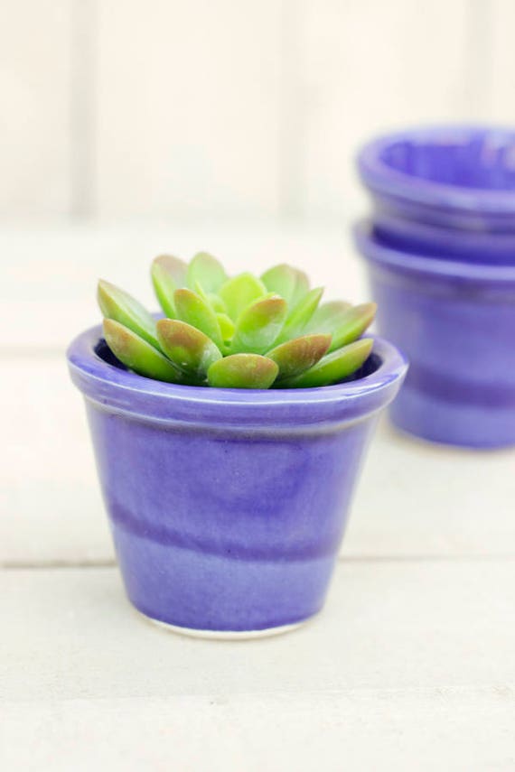 Cacti Blue Pots Ceramic 19succulent Planter Set