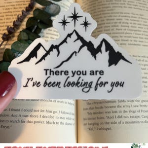 Quote from ACOTAR &quot;There you are, I&#39;ve been looking for you&quot; - Rhysand. Words we all wish to hear... am I right? Waterproof and UV safe.