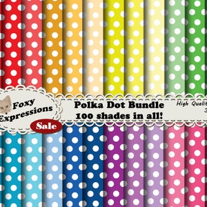 Polka Dot-bundel wordt geleverd met 100 papiersoorten in vele tinten rood, oranje, geel, groen, blauw, paars en roze. Je bent klaar voor elk project.