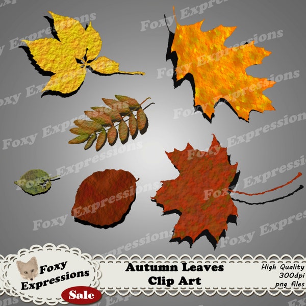 Digitale clipart herfstbladeren in de kleuren rood, oranje, geel, groen en bruin, perfect voor elk project. Bladeren worden geleverd met slagschaduw.