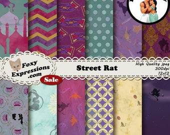 Street Rat inspired by Disneys Aladdin includes palace, magic carpet, aladdin, jasmine, genie, abu, whole new world, magic lamp and more