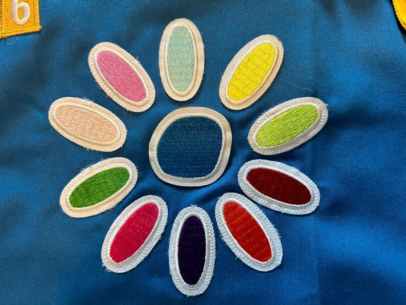May include: A blue background with a white outline of a flower with 12 petals. Each petal is a different color, including pink, yellow, green, red, and blue. The center of the flower is blue.