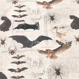 Jeepers Creepers Fabric by the yard 100% Cotton Clothing Quilt skull cat spider skeleton bat words cp71915 springs creative Lori siebert