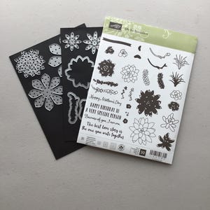 Stampin'Up! Clear-stempelset 'Oh So Succulent' + bijpassende stansset 'Succulent' met framelit/Craft Destash