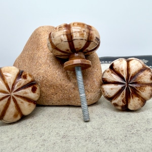 May include: Three decorative cabinet knobs with a pumpkin-like design. The knobs are cream-colored with brown accents and a carved pattern. One knob is attached to a metal screw, while the other two are separate.