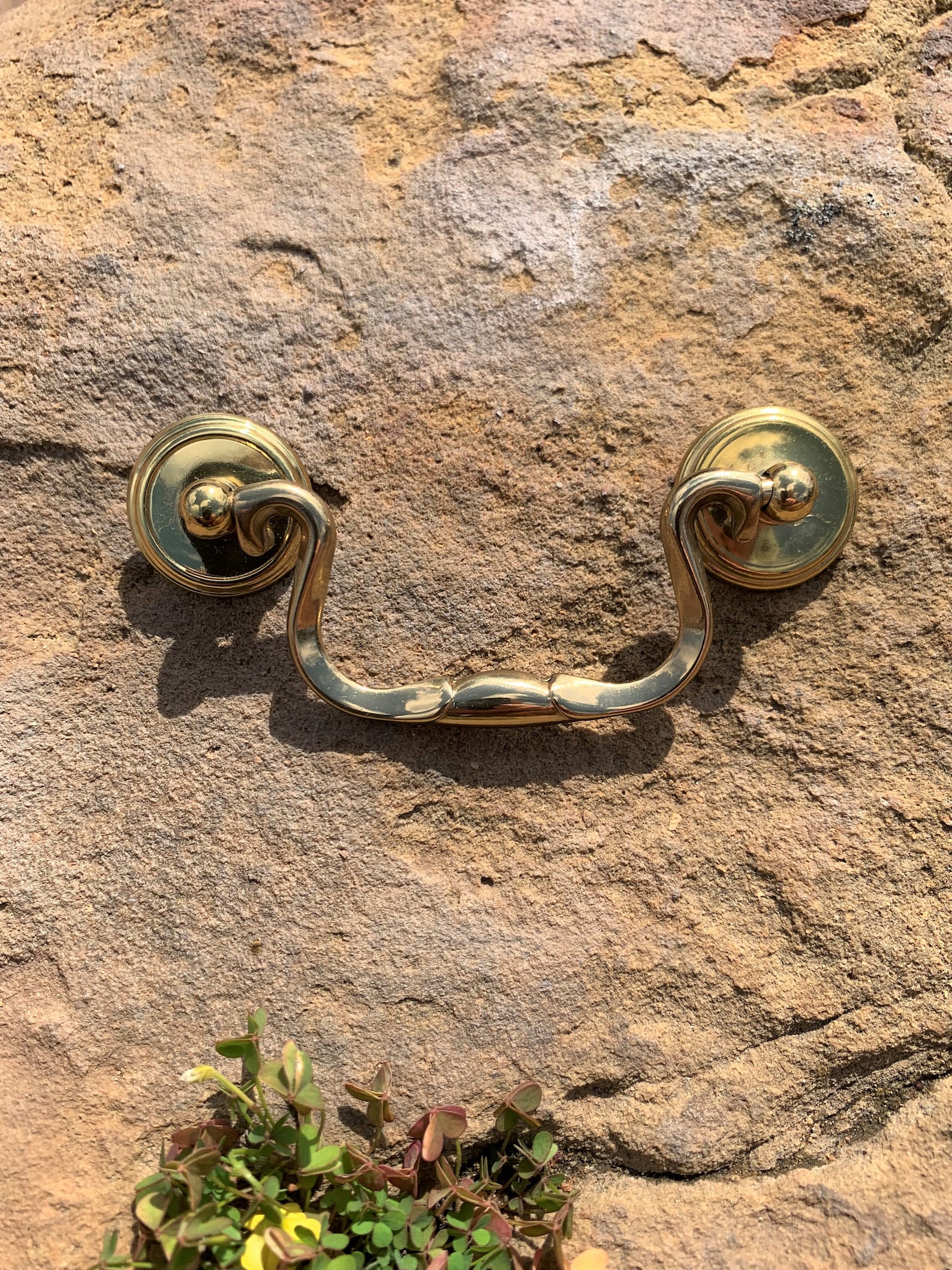 Swan Neck Brass Bail Pulls With Round Backplates/vintage Gold Drop Pulls With Bail Back Plates/3