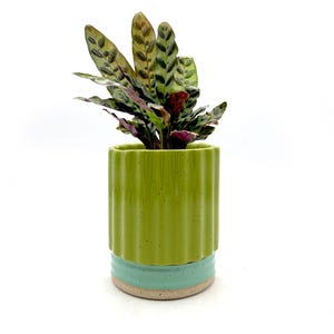 Planter Mini with Drainage in Lime & Aqua