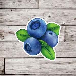 Blueberry Sticker, Berry Sticker, Fruit Sticker, Plant Sticker, Garden Sticker, Waterproof Sticker, Botanical Sticker