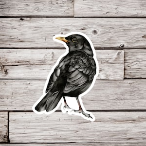 Raven Sticker, Crow Sticker, Black Bird Sticker, Bird Sticker, Waterproof Sticker, Ornithology Sticker, Nature Sticker, Wildlife Sticker