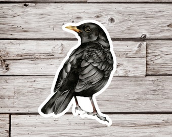 Raven Sticker or Magnet, Raven Sticker, Crow Sticker, Black Bird Magnet, Bird Sticker, Waterproof Sticker, Raven Magnet, Crow Magnet