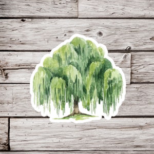 Willow Tree Sticker, Willow Sticker, Tree Sticker, Waterproof Sticker, Plant Sticker, Nature Sticker, Botanical Sticker