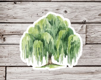 Willow Tree Sticker, Willow Sticker, Tree Sticker, Waterproof Sticker, Plant Sticker, Nature Sticker, Botanical Sticker