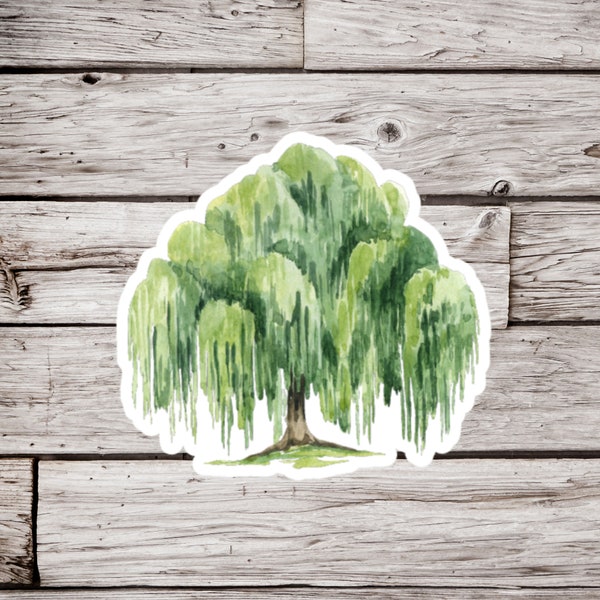 Willow Tree Sticker or Magnet, Willow Tree Sticker, Willow Magnet, Tree Sticker, Waterproof Sticker, Willow Tree Magnet, Willow Magnet