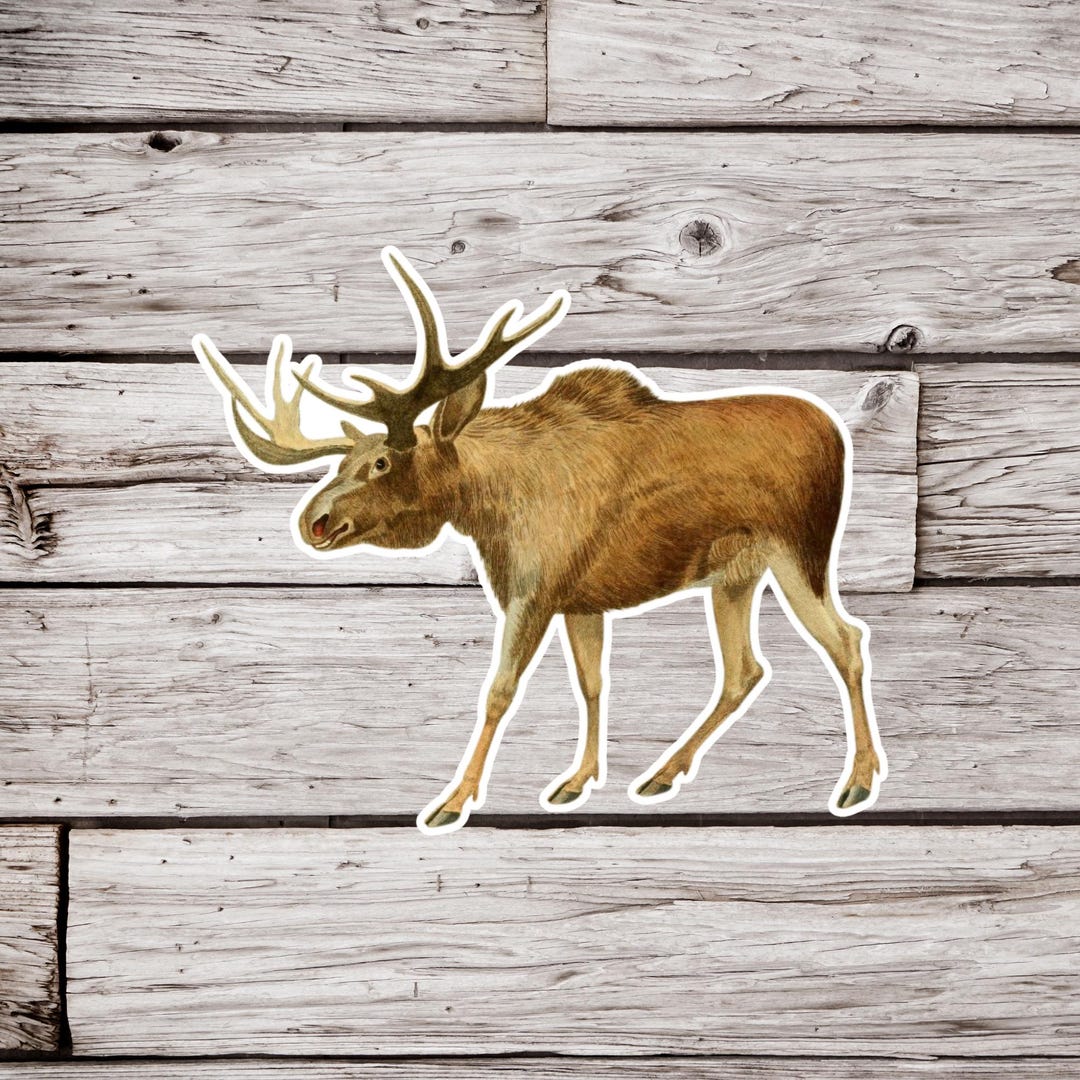 Moose Sticker, Animal Sticker, Waterproof Sticker, Nature Sticker ...