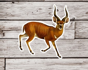 Könnte beinhalten: Ein braunes und weißes Antilopen mit großen, gebogenen Hörnern. Die Antilope steht auf einem hölzernen Hintergrund.