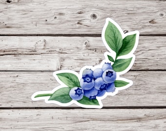 Blueberry Sticker or Magnet, Blueberry Sticker, Berry Sticker, Fruit Sticker, Plant Sticker, Waterproof Sticker, Blueberry Magnet
