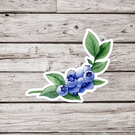Blueberry Sticker, Berry Sticker, Fruit Sticker, Plant Sticker, Garden Sticker, Waterproof Sticker, Botanical Sticker