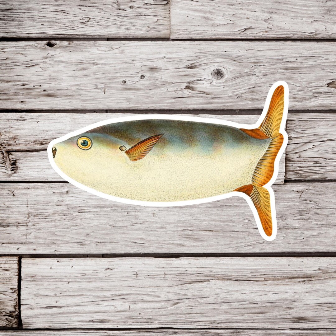 Slender Sunfish Sticker, Mola Mola Sticker, Ocean Sunfish Sticker, Fish ...