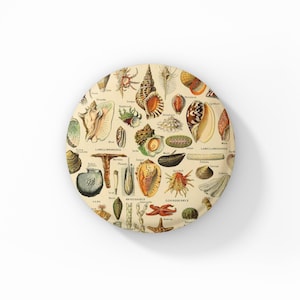 May include: A white ceramic mug with a black handle and the text "But First, Coffee" in a bold, black font. The mug is set against a blurred background, suggesting a cozy setting.