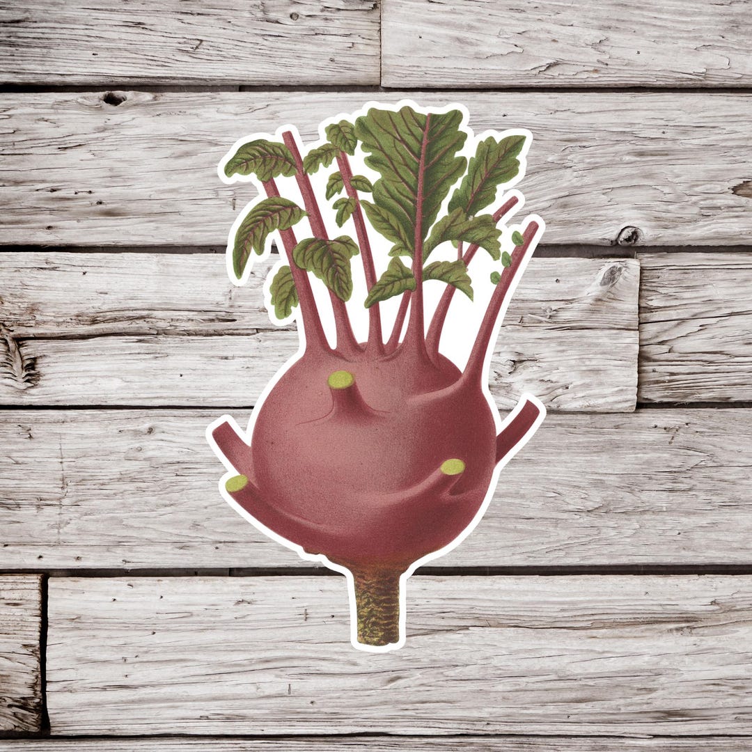 Beet Sticker, Beetroot Sticker, Vegetable Sticker, Garden Sticker ...
