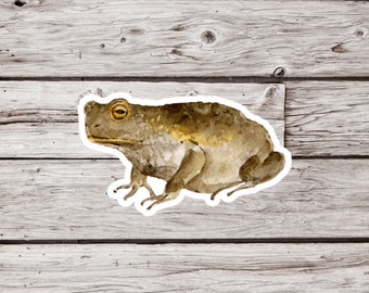 Toad Sticker, Amphibian Sticker, Waterproof Sticker, Frog Sticker, Pond Sticker, Animal Sticker, Wildlife Sticker