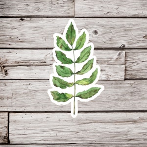 Rowan Leaf Sticker, Mountain Ash Sticker, Rowan Sticker, Leaf Sticker, Plant Sticker, Nature Sticker, Botanical Sticker