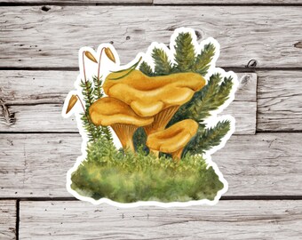 Mushroom Sticker, Fungus Sticker, Waterproof Sticker, Fungi Sticker, Plant Sticker, Botanical Sticker, Mycology Sticker