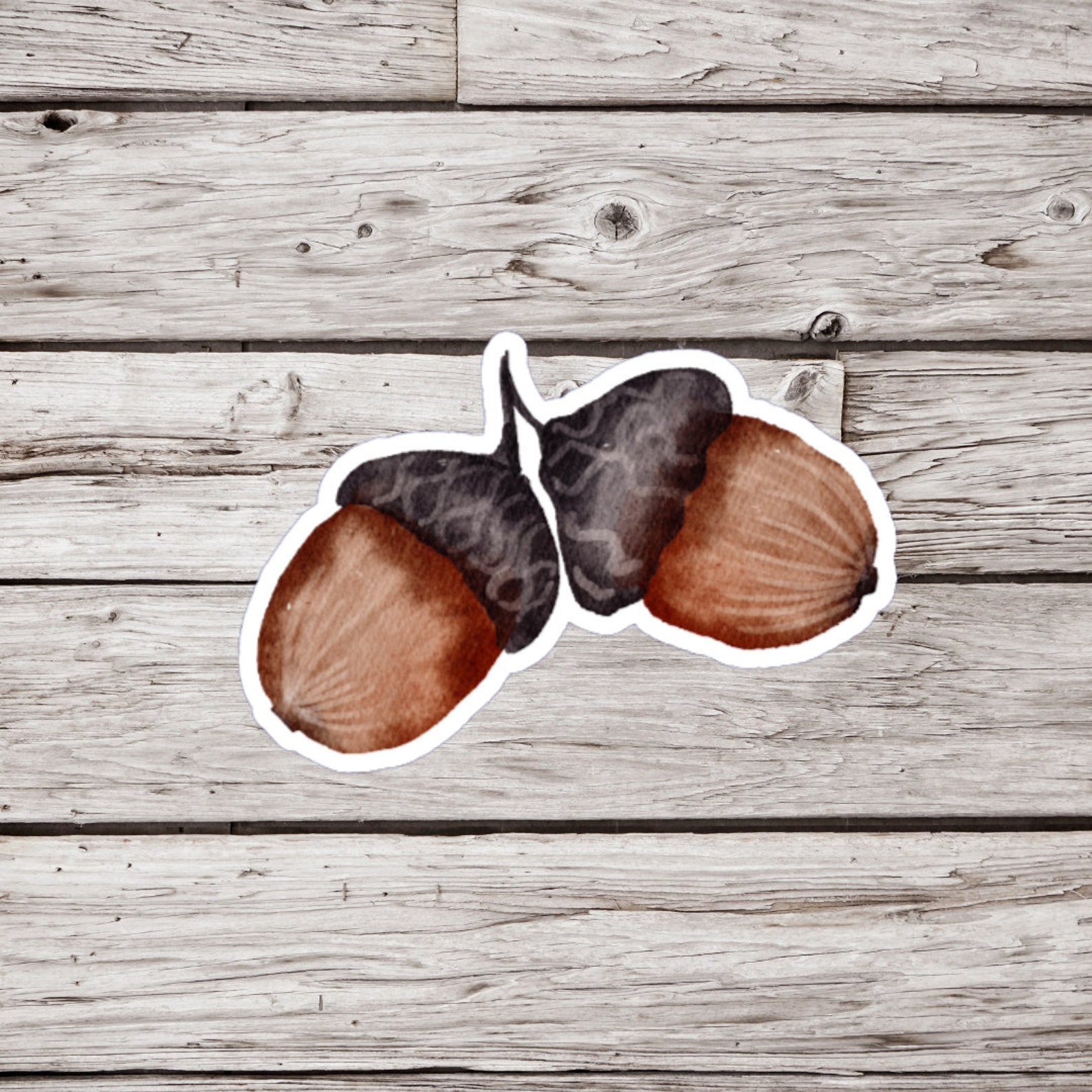 Acorn Sticker, Nut Sticker, Oak Tree Sticker, Fall Sticker, Autumn ...