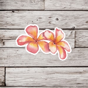 Plumeria Flower Sticker, Plumeria Sticker, Flower Sticker, Luau Sticker, Waterproof Sticker, Hawaiian Sticker, Tropical Flower Sticker