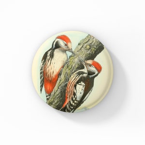 Woodpecker Pin, Woodpecker Pin Back Button, Bird Pin, Vintage Woodpecker Print Pin, Wildlife Pin, Woodpecker Magnet, Woodpecker keychain